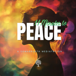 SBM: 11 min to Peace