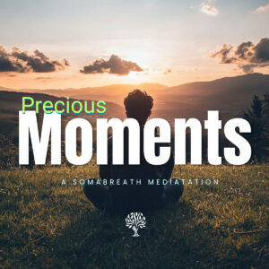SBM: Precious Moments
